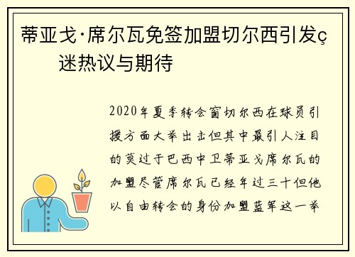 蒂亚戈·席尔瓦免签加盟切尔西引发球迷热议与期待